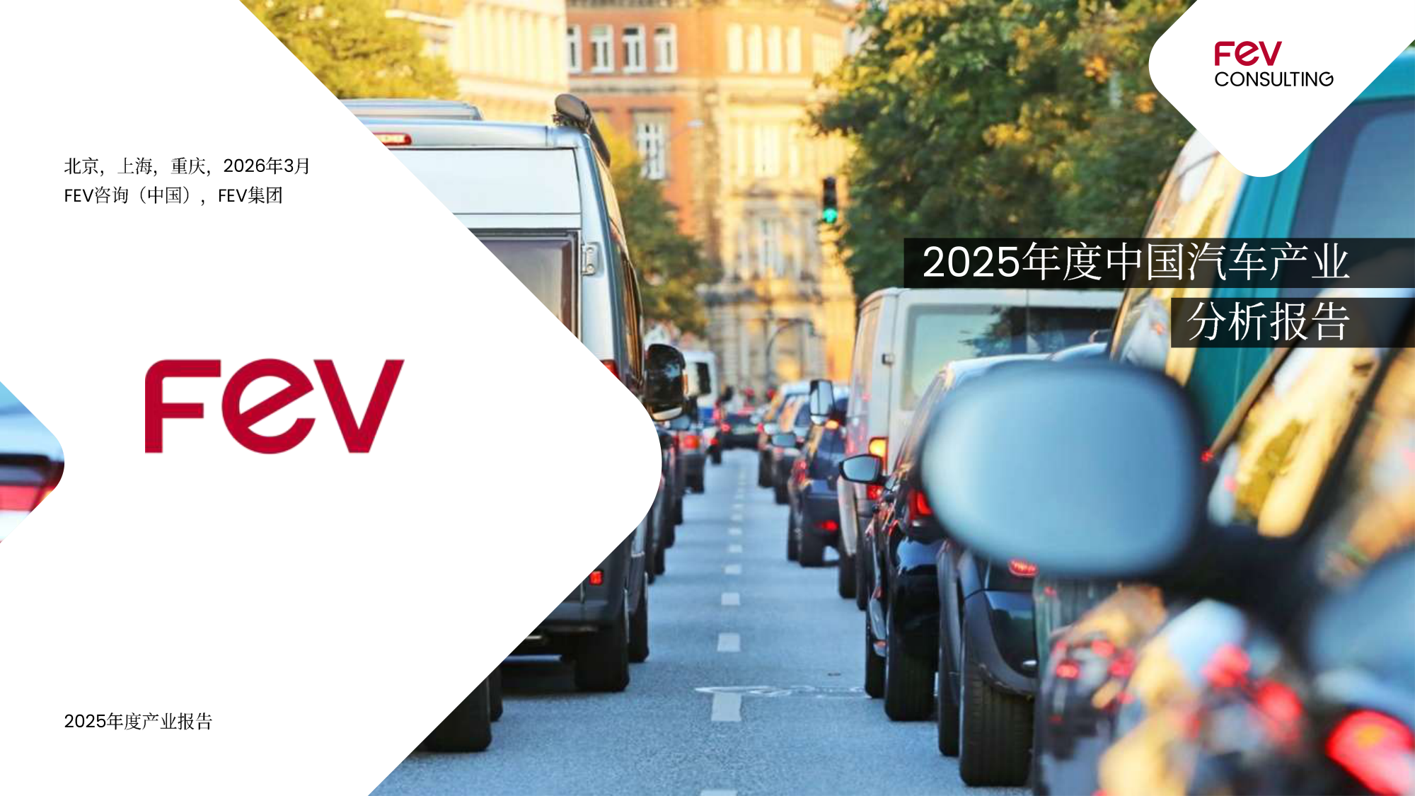 2025年度中国汽车产业分析报告